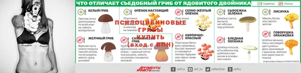 2c-b Алзамай
