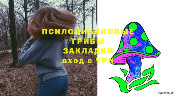 spice Алексин