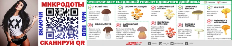 гидра ссылка  Георгиевск  Псилоцибиновые грибы Psilocybine cubensis 